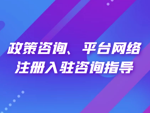 政策咨詢、平臺(tái)網(wǎng)絡(luò)注冊(cè)入駐咨詢指導(dǎo)